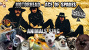 Motorhead – Ace Of Spades (Animal Cover)