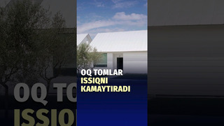 Olimlar megapolislarda issiq haroratni biroz bo‘lsa-da tushirishning yo‘lini topishdi