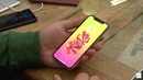 Знакомство с Apple iPhone X