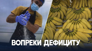 Кубинская компания производит муку из бананов и юкки