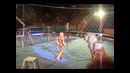 Нападение льва на дрессировщика во время представления