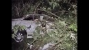 Водитель перевернулся уходя от полицейской погони