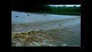 Прокати меня большая Поророка