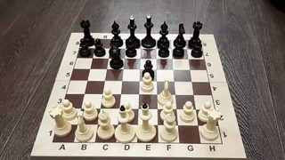 В эту шахматную ловушку попадут 90% игроков – Дебют Понциани