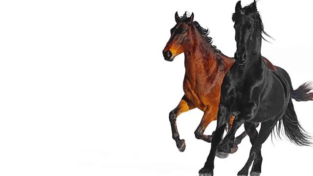 Lil Nas X – Old Town Road (feat. Billy Ray Cyrus) [Remix]