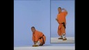 SHAOLIN KUNG-FU. 10 комплекс тонгбицюань