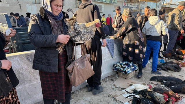 Как Живут Узбеки в Каракалпакстане! Узбекистан