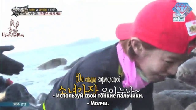 Law of the Jungle in New Zealand 2 – Episode 4 (268)