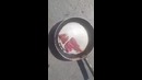 Жарят мясо на солнце