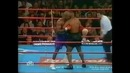 Бокс. Майк Тайсон v Эвандер Холифилд