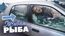 Как сделать аквариум из автомобиля