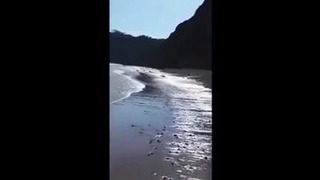 Экстренная посадка на пляже