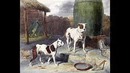 Pit Bull – история породы