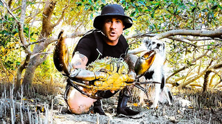 Catching GIANT MUD CRAB Barehanded For Food Living From The Ocean (Solo Remote Camping) – Ep 247