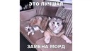 Лютые приколы. Угарная замена лиц