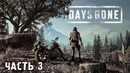 Прохождение Days Gone – Часть 3: Новый лагерь