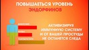 Что такое любовь