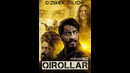 QIROLLAR HD