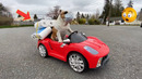 Fast and Furious Dogs || Funny Animal Videos 2023