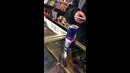 Крыса в Red Bull’e