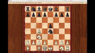 Шахматы. 4 РАЗГРОМА, которые должен знать начинающий шахматист