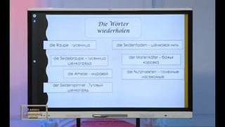 Немецкий язык 3 класс РУС (42)