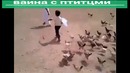 ВОЙНА