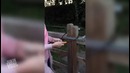 Леди не могу понять, как можно заблокировать ворота