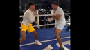КТО БЫСТРЕЕ? Дэвид Бенавидес ? Эмилиано Варгас #boxing #boxingnews #top #wow