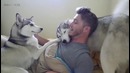 Big Dogs