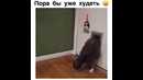 Пора бы уже худеть прикол
