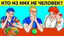 24 загадки, которые повысят ваши навыки детектива