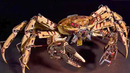 Man Turns DEAD Animals Into Mind Blowing ROBOTS | Cyborgs In Real Life