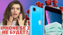 IPhone SE 2 не будет