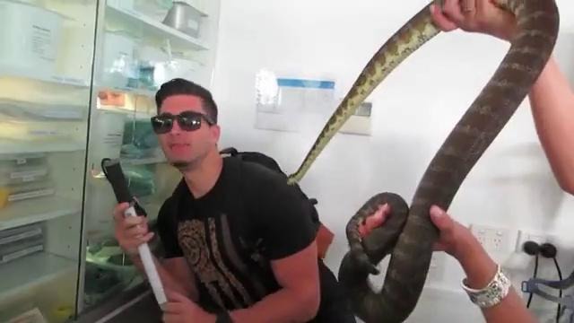 PrankvsPrank – Australian snake prank