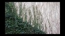 Bones & Dylan Ross – The Ivy