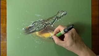 Реалистичное рисование – Крокодил