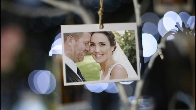 Photo Gallery at a Country Wedding II