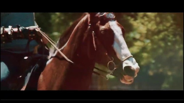 Seven Kingdoms – Kingslayer (Official Video 2017)