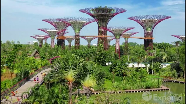 Singapore Vacation Travel Guide | Expedia