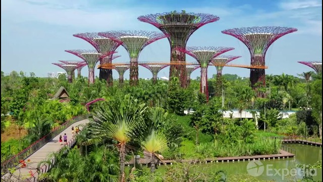 Singapore Vacation Travel Guide | Expedia