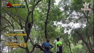 Law of the Jungle in Komodo (SEVENTEEN, EXID) – Ep.276 [рус. саб] (3)