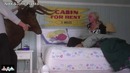 Nikki and John Elk Head Prank