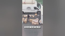 Fails Caught on Camera