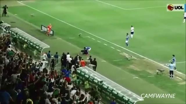 Бразилец сломал тренеру руку во время матча