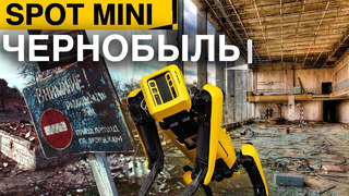 Робот Spot в Чернобыле! Новый New Oled Samsung, смартфон-рулон, холодильник Xbox X и другие новости