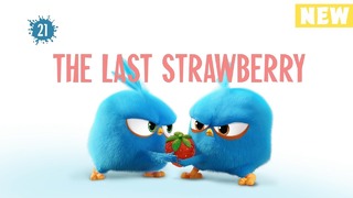 Angry Birds Blues – Последняя клубника s01e21