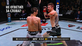 НОКАУТ С ЛОКТЯ!? Бой Умар Нурмагомедов VS Кори Сэндхаген UFC Абу-Даби / Смотреть Прямой Эфир ЮФС