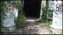 Мраморные Шершни(Запись №58)