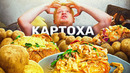 Potato papa. КАРТОХА на стероидах! Славный Обзор